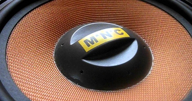 MNC Sunflower 8"